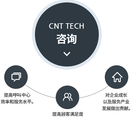 CNT TECH咨询